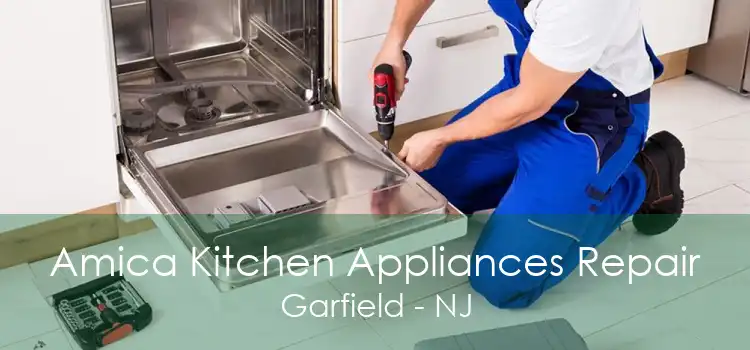 Amica Kitchen Appliances Repair Garfield - NJ