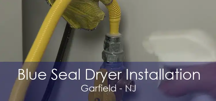 Blue Seal Dryer Installation Garfield - NJ