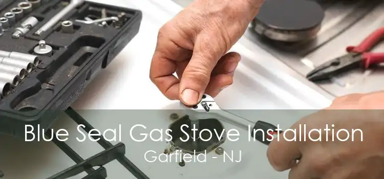 Blue Seal Gas Stove Installation Garfield - NJ