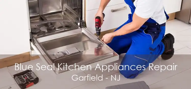 Blue Seal Kitchen Appliances Repair Garfield - NJ