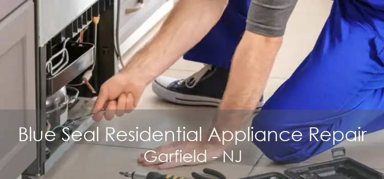 Blue Seal Residential Appliance Repair Garfield - NJ