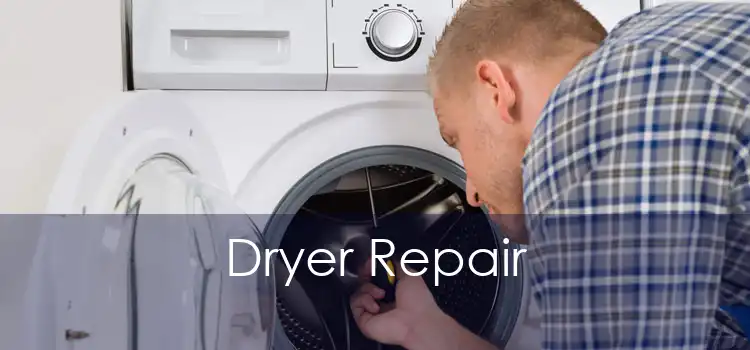 Dryer Repair 